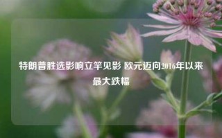 特朗普胜选影响立竿见影 欧元迈向2016年以来最大跌幅