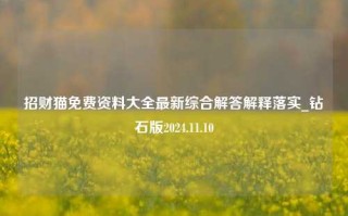 招财猫免费资料大全最新综合解答解释落实_钻石版2024.11.10