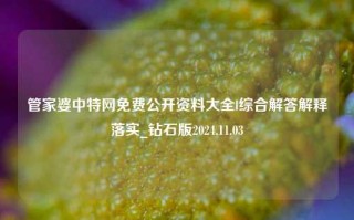 管家婆中特网免费公开资料大全l综合解答解释落实_钻石版2024.11.03