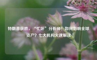 特朗普获胜，“忙坏”分析师！如何影响全球资产？七大机构火速解读