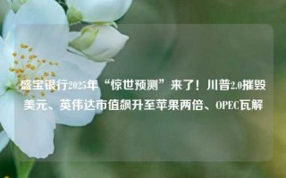 盛宝银行2025年“惊世预测”来了！川普2.0摧毁美元、英伟达市值飙升至苹果两倍、OPEC瓦解