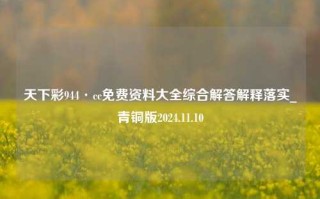 天下彩944·cc免费资料大全综合解答解释落实_青铜版2024.11.10