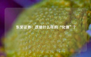 东吴证券：这是什么样的“化债”？