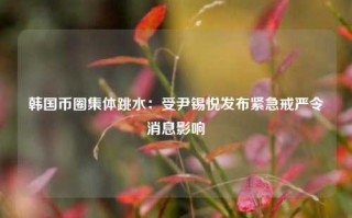 韩国币圈集体跳水：受尹锡悦发布紧急戒严令消息影响