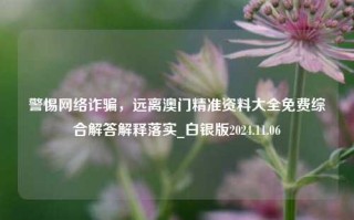 警惕网络诈骗，远离澳门精准资料大全免费综合解答解释落实_白银版2024.11.06