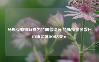 马斯克慷慨解囊为特朗普助选 特斯拉寥寥数日市值猛增3000亿美元