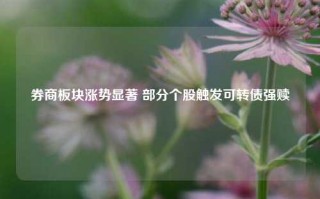 券商板块涨势显著 部分个股触发可转债强赎