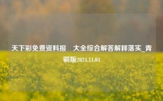 天下彩免费资料报刋大全综合解答解释落实_青铜版2024.11.04