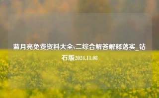 蓝月亮免费资料大全v二综合解答解释落实_钻石版2024.11.08