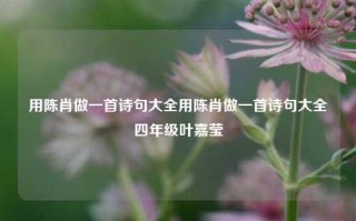 用陈肖做一首诗句大全用陈肖做一首诗句大全四年级叶嘉莹