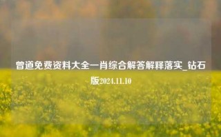 曾道免费资料大全一肖综合解答解释落实_钻石版2024.11.10