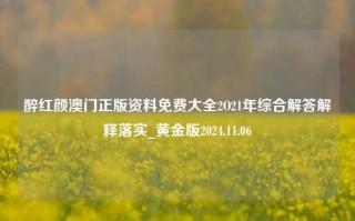 醉红颜澳门正版资料免费大全2O21年综合解答解释落实_黄金版2024.11.06