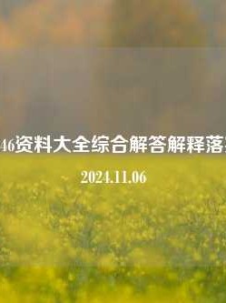 天天免费246资料大全综合解答解释落实_青铜版2024.11.06