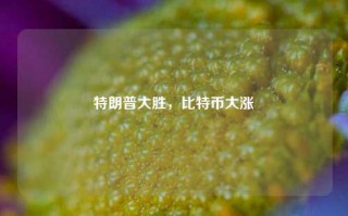 特朗普大胜，比特币大涨