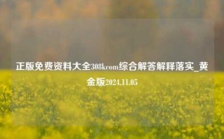 正版免费资料大全308kcom综合解答解释落实_黄金版2024.11.05