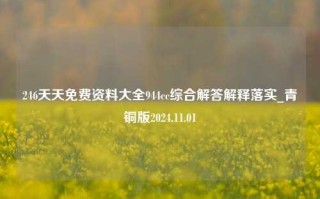 246天天免费资料大全944cc综合解答解释落实_青铜版2024.11.01