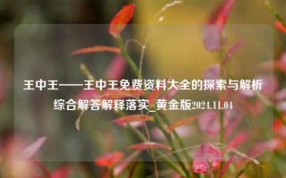 王中王——王中王免费资料大全的探索与解析综合解答解释落实_黄金版2024.11.04