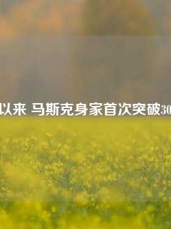 自2022年以来 马斯克身家首次突破3000亿美元