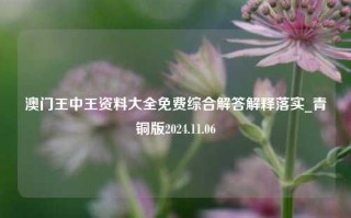 澳门王中王资料大全免费综合解答解释落实_青铜版2024.11.06