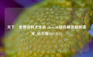 天下釆免费资料大全告 abcoo.hk综合解答解释落实_钻石版2024.11.07