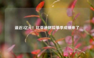 逼近5亿元！比亚迪财险单季成绩来了