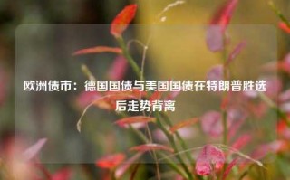 欧洲债市：德国国债与美国国债在特朗普胜选后走势背离