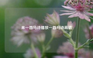 来一首马诗播放一首马诗高德