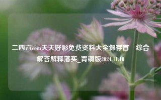 二四六com天天好彩免费资料大全保存首頁综合解答解释落实_青铜版2024.11.10