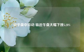 知乎盘中异动 临近午盘大幅下挫5.28%