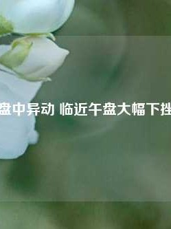 知乎盘中异动 临近午盘大幅下挫5.28%