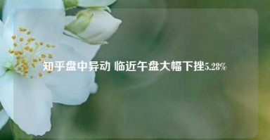 知乎盘中异动 临近午盘大幅下挫5.28%