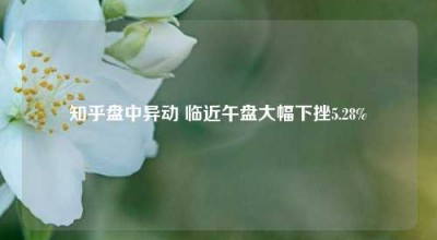 知乎盘中异动 临近午盘大幅下挫5.28%