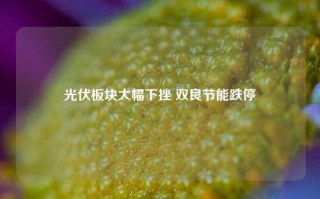 光伏板块大幅下挫 双良节能跌停