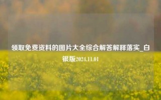 领取免费资料的图片大全综合解答解释落实_白银版2024.11.01