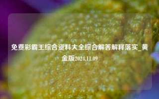 免费彩霸王综合资料大全综合解答解释落实_黄金版2024.11.09