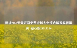 新址246zl天天好彩免费资料大全综合解答解释落实_钻石版2024.11.06