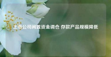 上市公司闲置资金调仓 存款产品规模降低