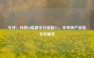 午评：科创50指数半日涨超4%，半导体产业链全线爆发