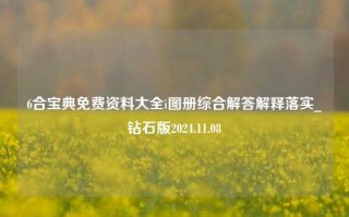 6合宝典免费资料大全i图册综合解答解释落实_钻石版2024.11.08