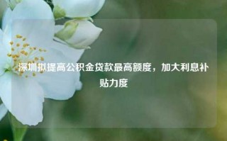 深圳拟提高公积金贷款最高额度，加大利息补贴力度