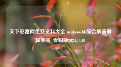 天下彩富网免费资料大全 m.abcoo.hk综合解答解释落实_青铜版2024.11.01