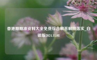 香港期期准资料大全免费综合解答解释落实_白银版2024.11.08