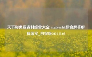 天下彩免费资料综合大全 m.abcoo.hk综合解答解释落实_白银版2024.11.02