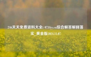 246天天免费资料大全i 0734yy.cn综合解答解释落实_黄金版2024.11.07