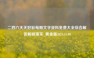 二四六天天好彩每期文字资料免费大全综合解答解释落实_黄金版2024.11.09