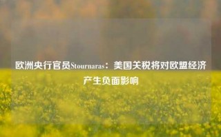 欧洲央行官员Stournaras：美国关税将对欧盟经济产生负面影响