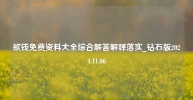 欲钱免费资料大全综合解答解释落实_钻石版2024.11.06