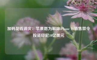 加码花钱消灾：苹果愿为解除iPhone 16销售禁令投资印尼10亿美元