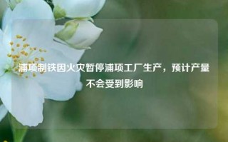 浦项制铁因火灾暂停浦项工厂生产，预计产量不会受到影响