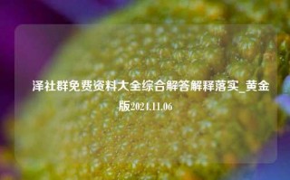 恵泽社群免费资料大全综合解答解释落实_黄金版2024.11.06